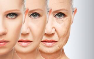 Bentley Wellness, Health, Wellness, Lifestyle, Aging
