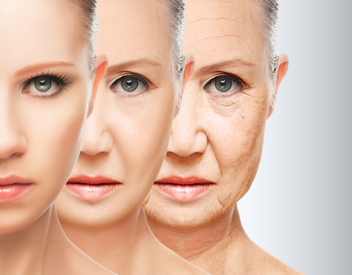 Bentley Wellness, Health, Wellness, Lifestyle, Aging
