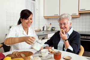 In-Home Care, Care Agency, Health, Wellness, Bentley Wellness, Aging, Aging-In-Place, Custodial Care